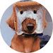 Profile Picture of ALONZO MONTOYA (@ealonzomontoya) on Pinterest