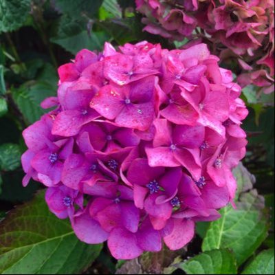 Profile Picture of Katelyn Malone (@KatelynMalone54) on Twitter