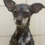 Profile Picture of Charline Loise Quiambao Aruta (@justcallmecharloise) on Instagram