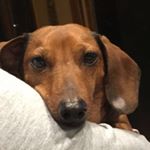 Profile Picture of Bentley Crawford (bubbers) (@bentleycrawford123) on Instagram