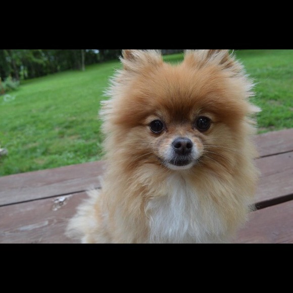 Profile Picture of Kaitlyn Doolan (@kaitlyn_doolan) on Poshmark