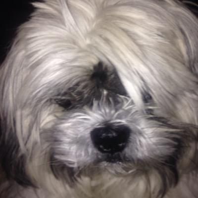 Profile Picture of James Bookman (@Thatcarguy21) on Twitter
