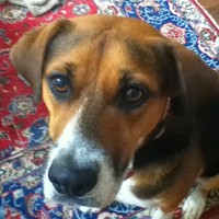 Vivian Chiomento - Quora Profile Picture of Vivian Chiomento (@vivian-chiomento) on Quora