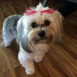 Profile Picture of Vicki Van Hook (@vickivanhook) on Instagram