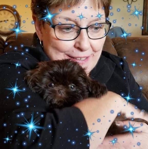 Profile Picture of Janet Klein (@janetklein) on Poshmark