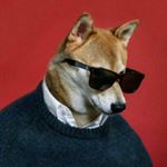 Profile Picture of Austin Tang (@austin.0.0.7) on Instagram