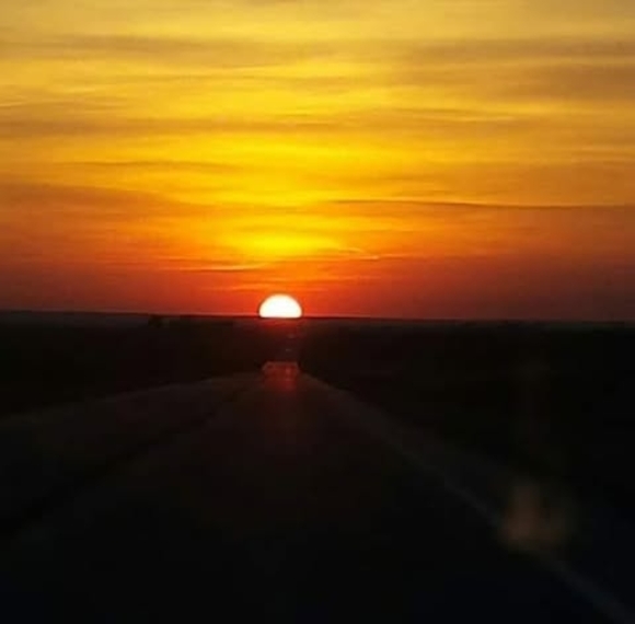 Profile Picture of Susi Werthmann (@susiwerthmann) on Poshmark