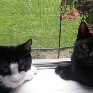 Profile Picture of Jayson Schieck (@Jayson.Sc) on Facebook