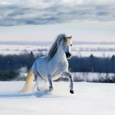 Profile Picture of David Strobel (@DavidStrobel16) on Twitter