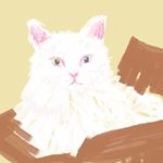 Profile Picture of Phyllis Kim (@phyllis.kim) on Instagram