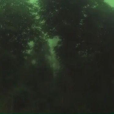 Profile Picture of nicholas (@nicholasvolkv) on Tiktok