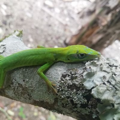 Profile Picture of John Peña (@JohnPea06405590) on Twitter