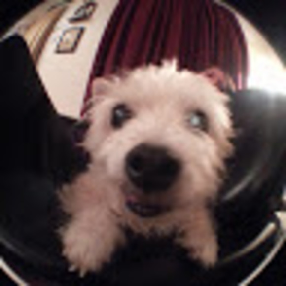 Profile Picture of Alison Macmullan (@alimac70117) on Poshmark