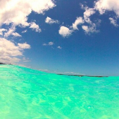 Profile Picture of BryanRingo (@@BryanRingo) on Twitter