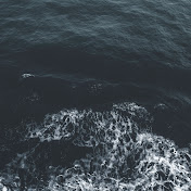 Profile Picture of Charles Perry (@charlesperry1897) on Youtube