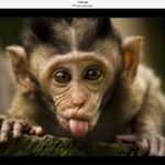 Profile Picture of Ivan Barnett (@i_is_going_gay) on Instagram