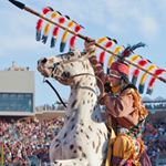 Profile Picture of Donald Butcher (@butcher_donald) on Instagram