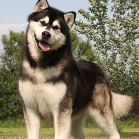 Profile Picture of Lyra Vonk (@lyra_anne) on Poshmark