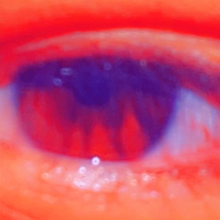 Profile Picture of Randilyn (@randilyn917) on Tiktok