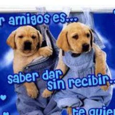 Profile Picture of Lorena Flores (@lorena_fabian) on Twitter