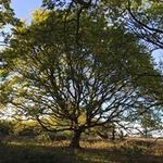 Profile Picture of John Golby (@golbyjohn) on Instagram