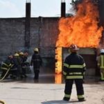 Felipe Albanesi - Instagram Profile Picture of Felipe Albanesi (@felipe_albanesi) on Instagram