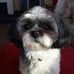 Profile Picture of Jennifer Korb (@jennifer.korb.1) on Facebook