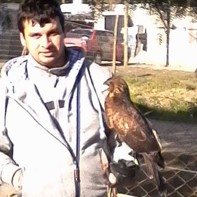 Profile Picture of Alejandro Macedo (@soyelale90) on Twitter