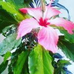 Profile Picture of t.a.m.a.r.a (@tamara.samsonenko) on Instagram