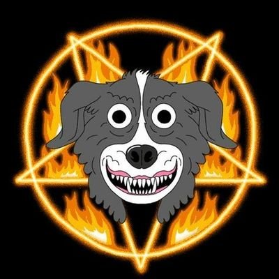 Cassandra Levy - Twitter Profile Picture of Cassandra Levy (@CassandraLevy13) on Twitter