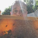 Sean Schwab - Instagram Profile Picture of Sean Schwab (@beekjedi) on Instagram