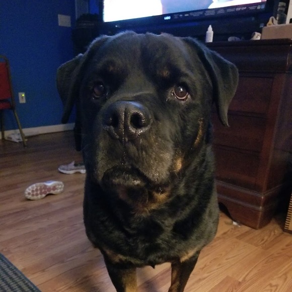 Profile Picture of Erica Fleck (@ericalynn090509) on Poshmark