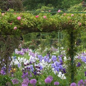 Profile Picture of Barbara Powell (@dickeyvillehall) on Pinterest