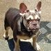 Profile Picture of Cesar Rosas (@cesar.rosas.315) on Facebook