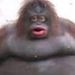 Profile Picture of Adam Marson (@nb100700009) on Pinterest