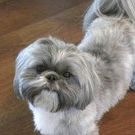 Profile Picture of RandySandy Sorrells (@ssorrells) on Pinterest