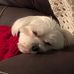 Profile Picture of Cheryl Abrams (@cheryl.abrams.16) on Facebook