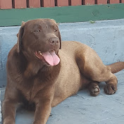 Profile Picture of Gargi Mahajan (@gargimahajan6499) on Youtube