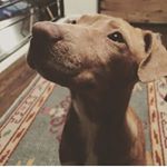 Profile Picture of Lucy Adkins (@lucy.p.adkins) on Instagram