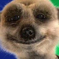 Profile Picture of Tony Biel (@tony-biel-2) on Quora