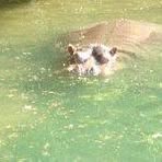 Profile Picture of Gary Nagata (@gary.nagata) on Facebook