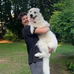 Profile Picture of Andrew Byrd (@andrew.byrd.445445) on Facebook