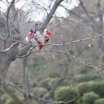 Profile Picture of Steve Ivanov (@stealthy_steve) on Instagram