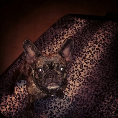 Profile Picture of Max To Isi (@monika74lau) on Twitter