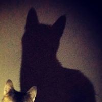 Profile Picture of Keith A Delp (@keith-a-delp) on Quora
