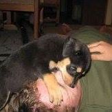 Profile Picture of Alvin Frederson (@alvin.frederson) on Facebook