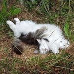 Profile Picture of Devlin O'Connor (@devlinmars) on Instagram