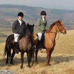 Profile Picture of Mark Toller (@drtoller) on Instagram