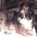 Profile Picture of Cathy Staley (@cathy.staley.75) on Facebook