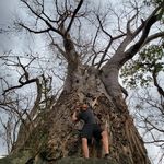 Profile Picture of jacob_mackey__ (@jacob_mackey__) on Instagram